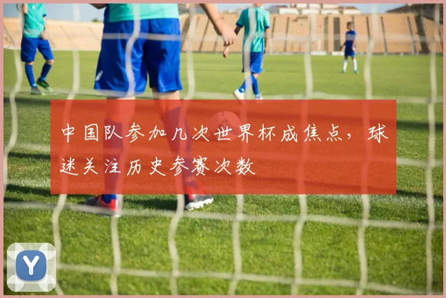 中国队参加几次世界杯成焦点，球迷关注历史参赛次数