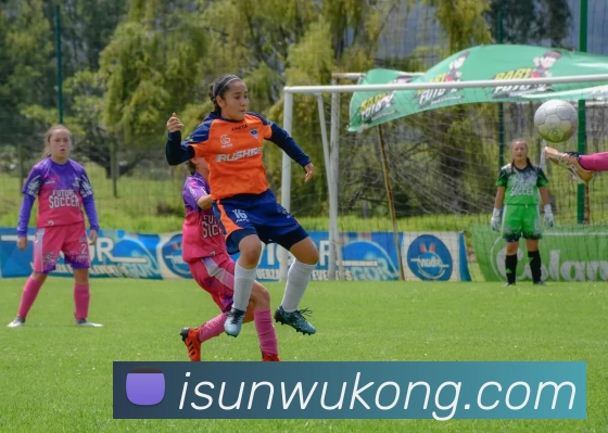 俄罗斯世界杯中国官网品牌故事